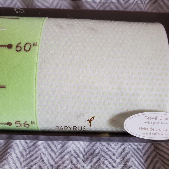 Growth Chart - Picture 4 of 4